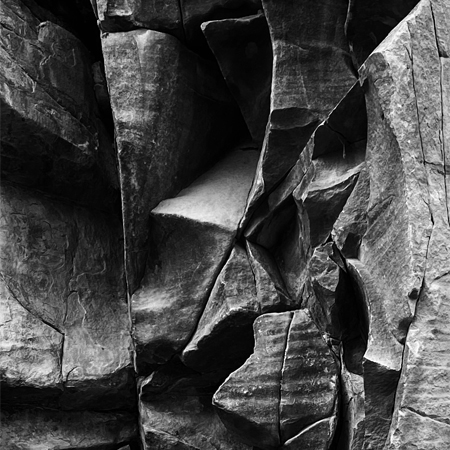 HIDDEN IN NATURE thumbnail thumbnail